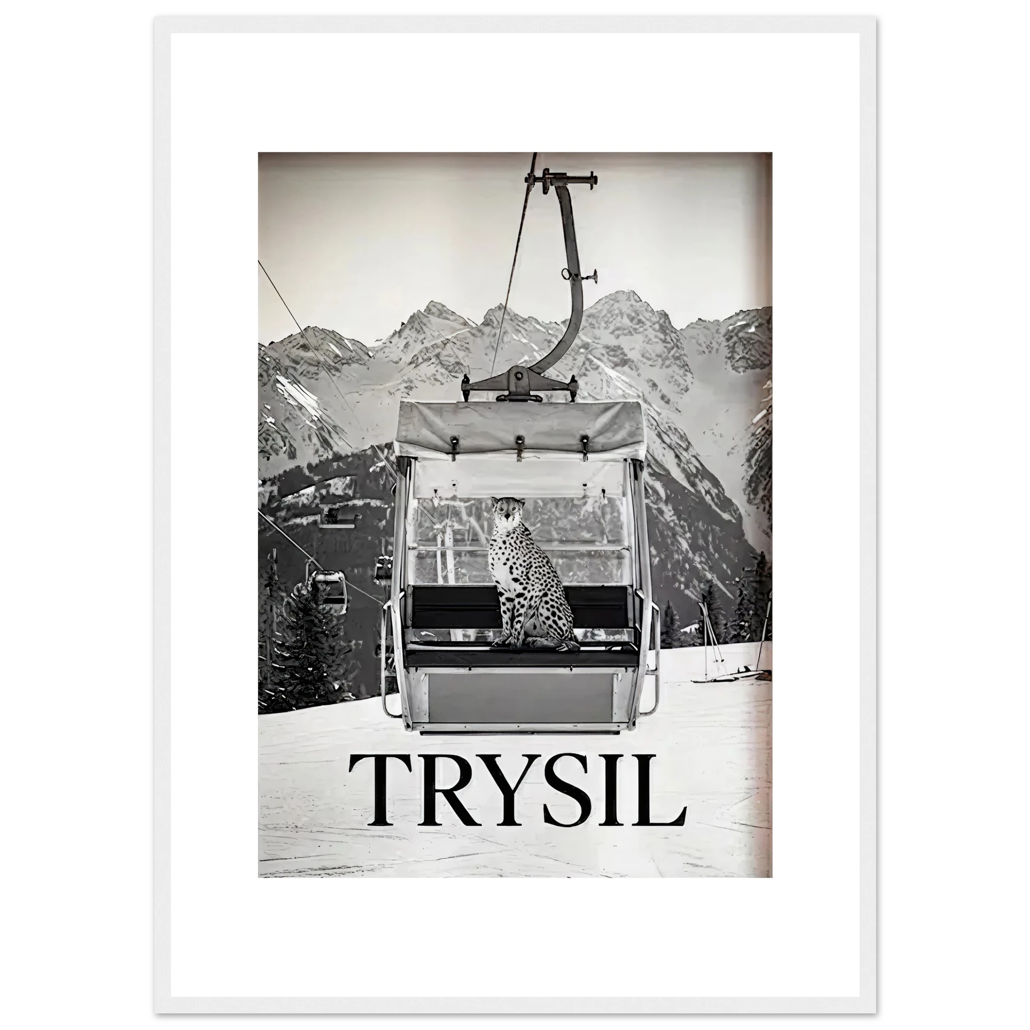 c209bbae-0a5c-44a9-ad57-95071f10ec9f