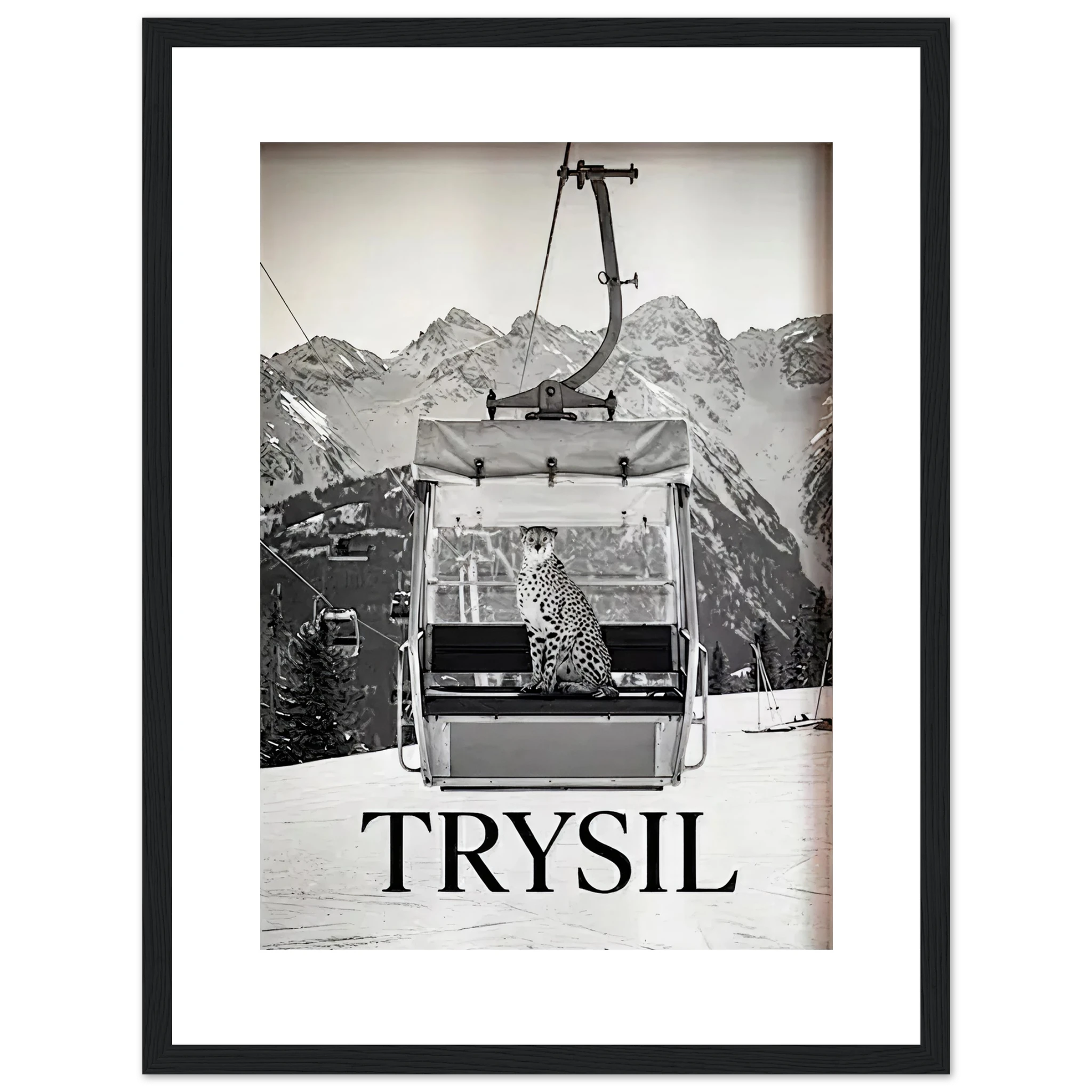 c4303250-fa19-4c8d-8acf-068d0f4fd50d